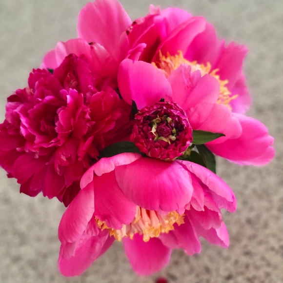 Meet your Posher, Kat π - Picture 5 of 5